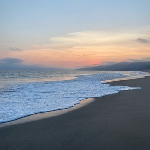 Meet your Posher, Sky!